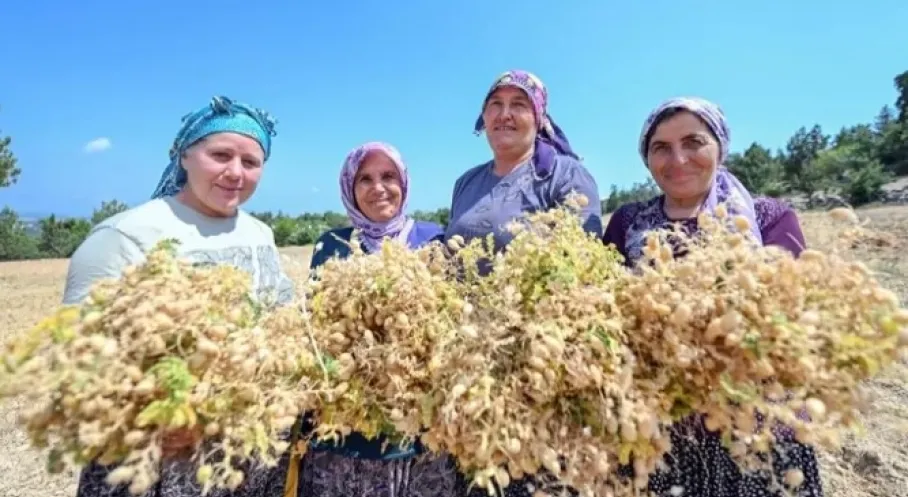 Mersin'de Ata Tohumları Geleceğe Taşınıyor! Üreticiye Büyük Destek