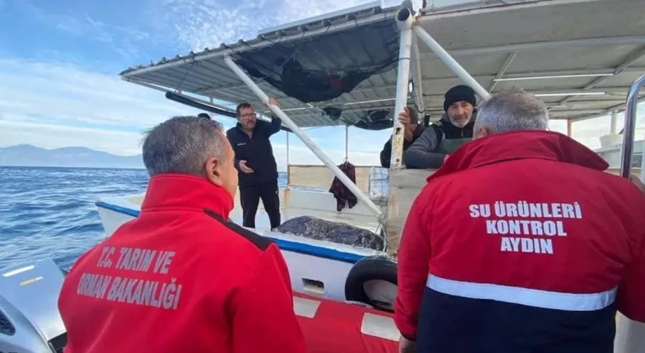 Aydın'da Balık Stokları Alarm Veriyor! Sıkı Denetimler Başladı