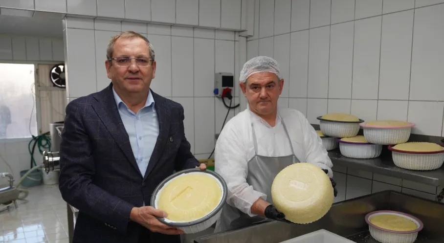 Ayvalık GastroFest 2025: Lezzet Şöleni Başlıyor! Michelin Yıldızlı Şefler Ayvalık'ta Buluşuyor!
