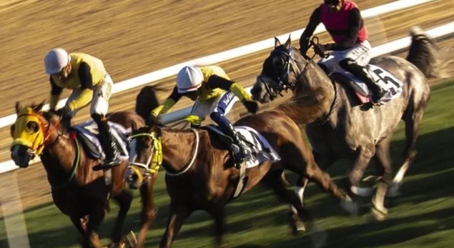 Bakan Bak'tan Cumhurbaşkanlığı ve Cumhuriyet Koşusu Şampiyonlarına Kutlama!