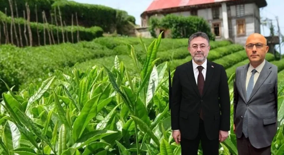 Bakan Yumaklı'dan Çay Üreticisine Müjde! Hasat Dönemi Değerlendirmesi