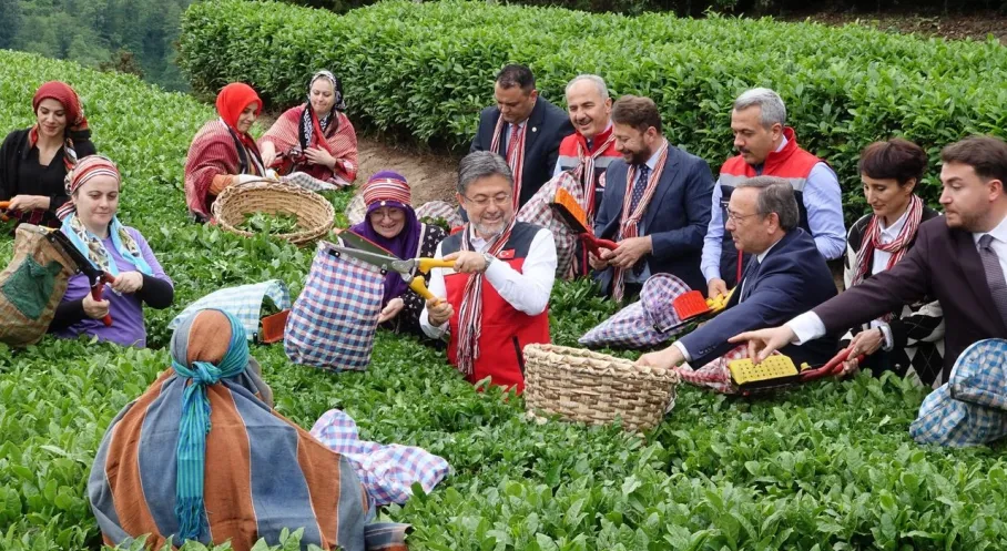 Bakan Yumaklı'dan Rize'de Çay Açıklaması: Meteorolojik Olayların Etkisi Beklenenden Az Oldu!