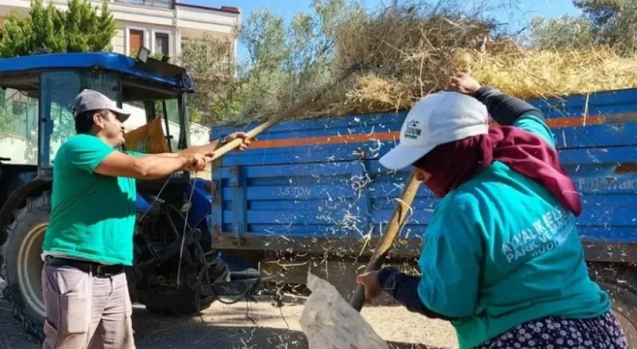 Ayvalık'ta Emeğin Değeri Güzelliğe Dönüşüyor! İşte Detaylar!
