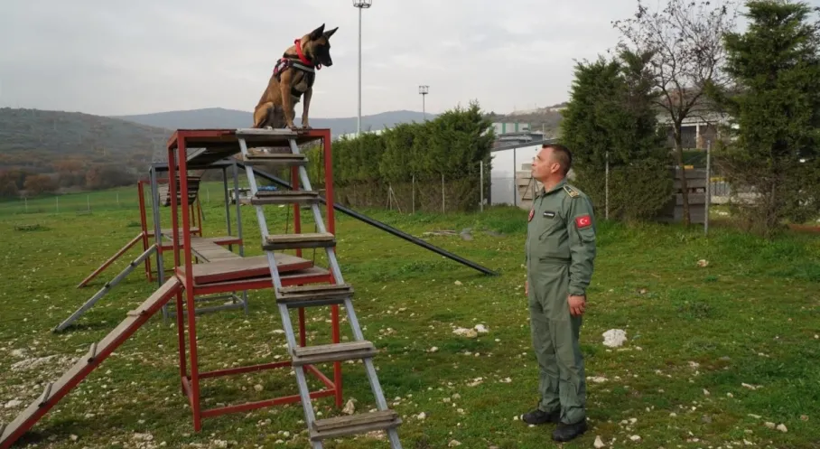 Balıkesir İtfaiyesi'nin Yeni Yıldızı K9 İda: Enkazdan Rekor Sürede Can Kurtardı!