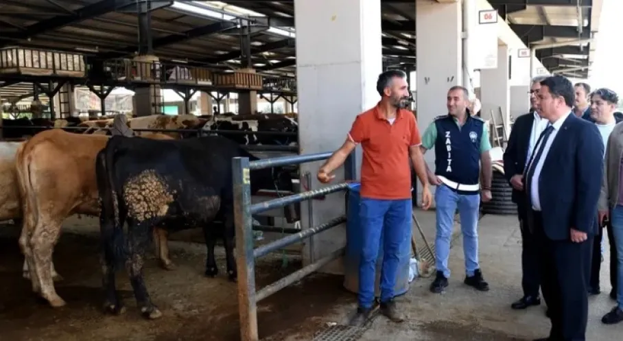 Osmangazi'de Kurban Pazarı Hareketi! Başkan Aydın'dan Müjdeli Haber