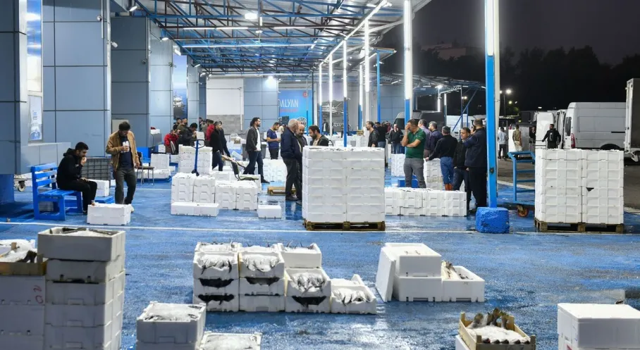 Başkentte Balık Sezonu Açıldı! ABB'den Taze Balık Denetimi