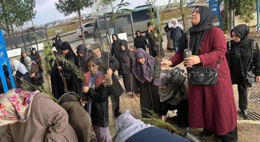 Batman'da Mezarlıklar Yeşeriyor: Ücretsiz Fidan Dağıtımı ile Her Kabre Bir Ağaç Hedefi!