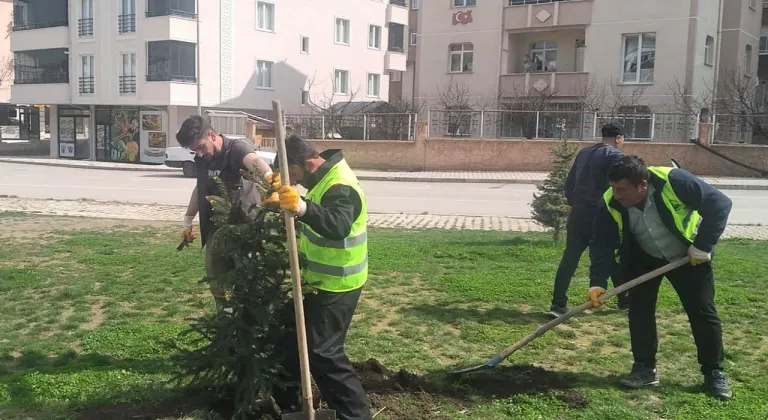 Bayburt'ta Bahar Temizliği Başladı: Belediyeden Yol, Kaldırım ve Ağaçlandırma Seferberliği!