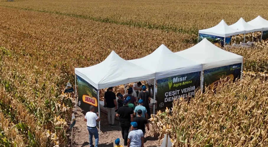 BAYER, Agro Arena Etkinliğinde Hatay’da  Binin Üzerinde Mısır Üreticisiyle Buluştu