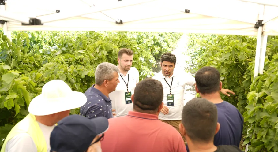 Bayer Bağ Üreticilerine Entegre Mücadele ve Dijital Tarım Çözümlerini Anlattı