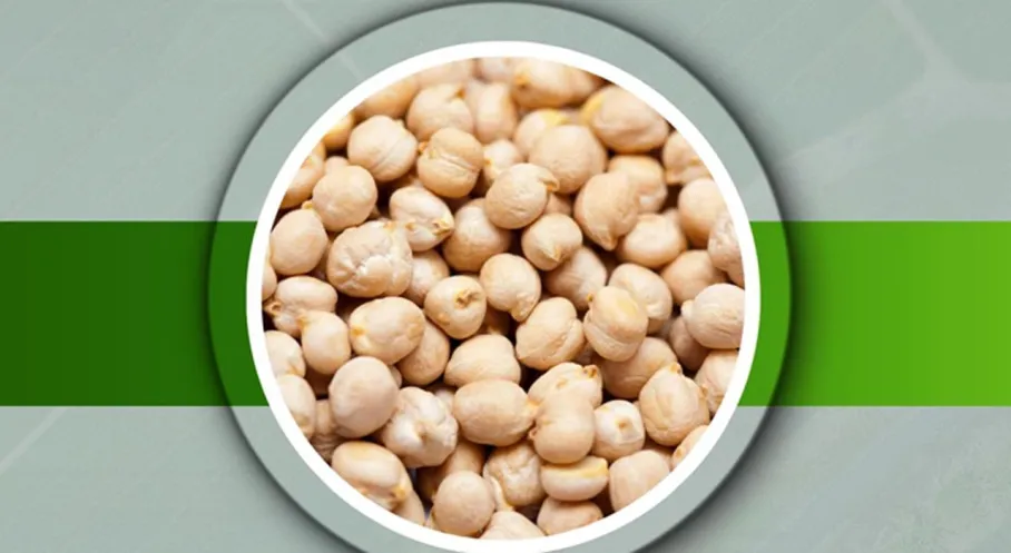 Beypazarı Çiftçilerine Büyük Müjde: Nohut Tohumu Desteği Başvuruları Başladı! Son Tarih 23 Ocak