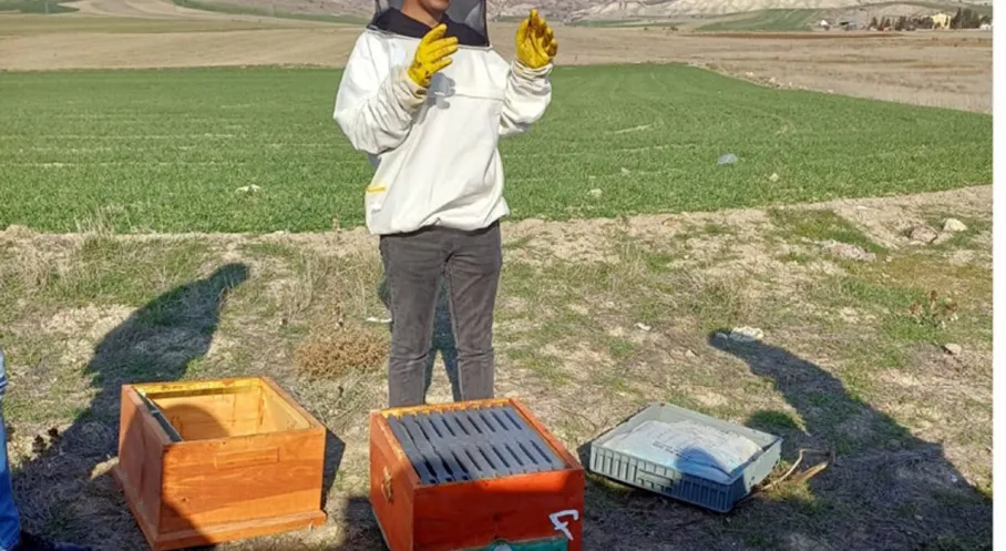 Beypazarı Halk Eğitim'den Arıcılığa Altın Dokunuş: Uygulamalı Kurs Başladı!