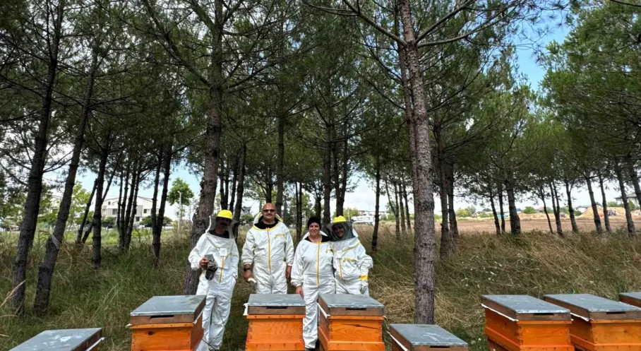 Bilinçli Üretim, Kocaeli’nin Balını Türkiye’ye Taşıyor