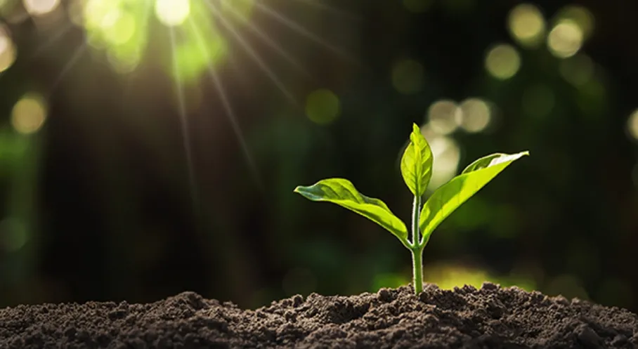 Bitki Koruma Ürünlerinde Çığır Açan Dönem: Elektronik Takip Sistemi Devreye Giriyor!