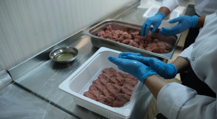 Bodrum'dan Gıda Güvenliğine Örnek Uygulama: HACCP Sistemiyle Sofralara Güven Geliyor!