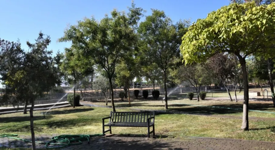 Bornova'dan Su Krizi Hamlesi: Parklar Damla Sulamaya Geçiyor!