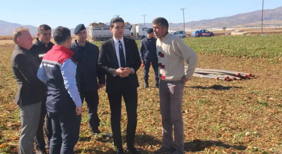 Burdur Tefenni'den Bereket Fışkırıyor: Pancar Hasadı Rekor Kırdı!