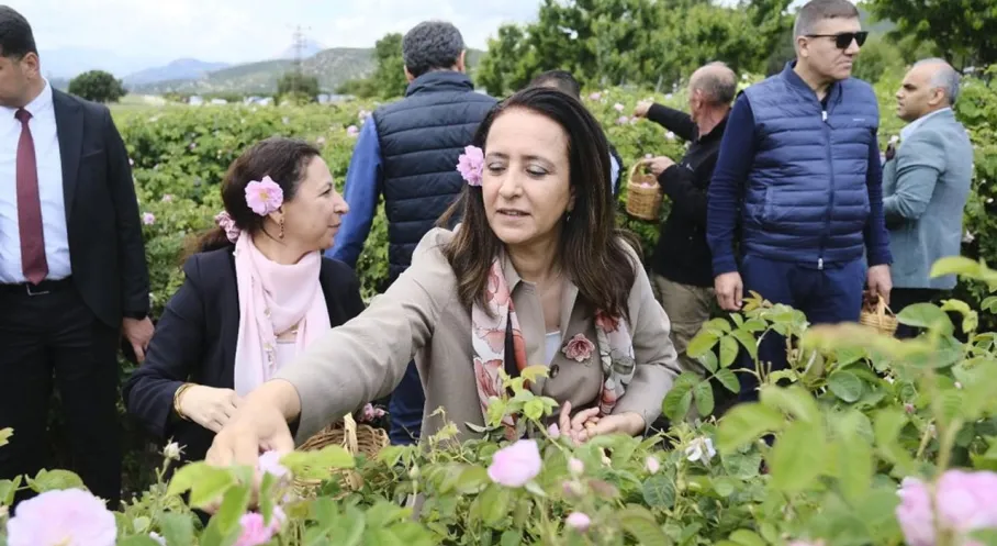 Burdur'da Gül Hasadı Şenliği: DoğaFest Lisinia'da Göz Kamaştırdı!