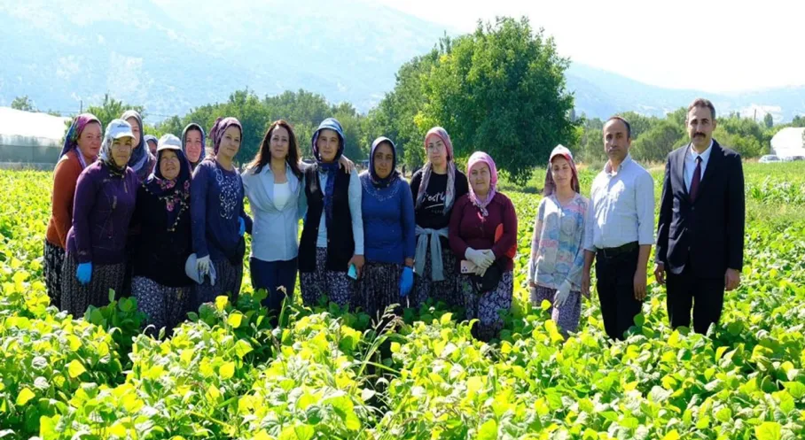 Burdur'da Kadın Emeği Tarımı Şahlandırıyor! Vali Bilgihan'dan Destek Ziyareti