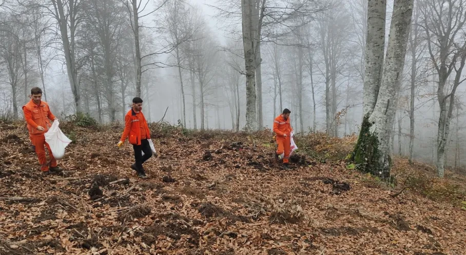 Bursa Harmancık'ta Yanan Ormanlar Yeniden Yeşeriyor! Tohum Seferberliği Başladı