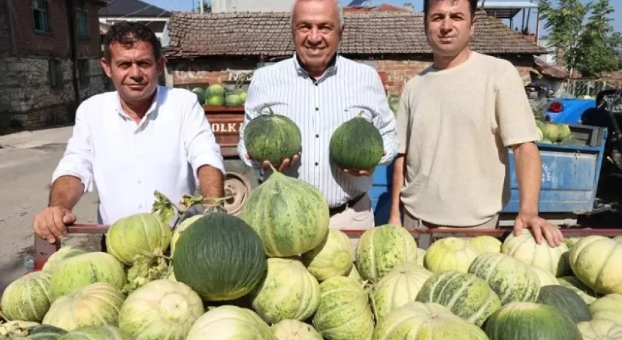 Bursa'da Kavun Üretimi Patladı! Nilüfer'de Rekor Artış