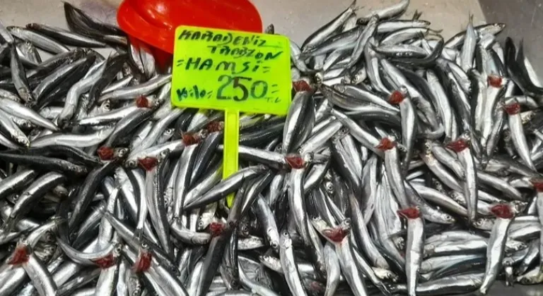 Haber Resmi