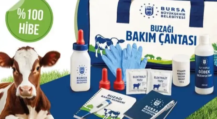 Bursa’da Büyükbaş Hayvan Yetiştiricilerine Yeni Destek