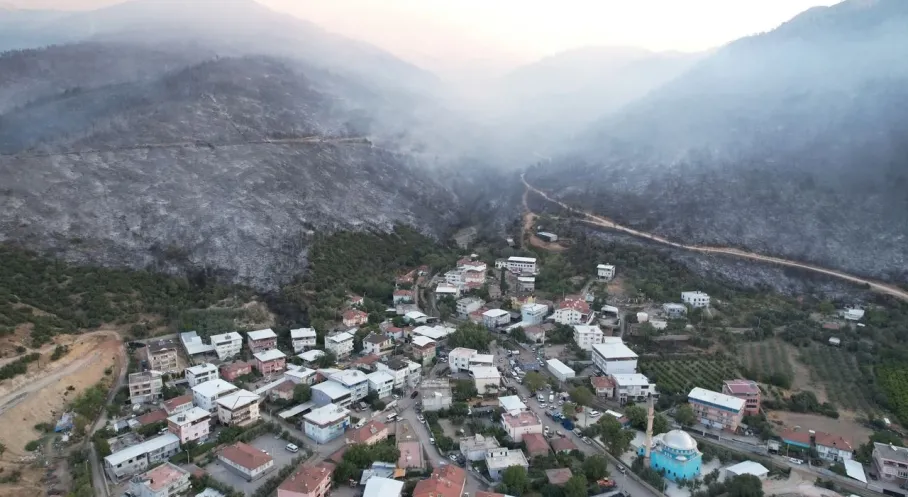 Bursa'da Orman Yangını Faciası: Yüzlerce Hektar Kül Oldu!