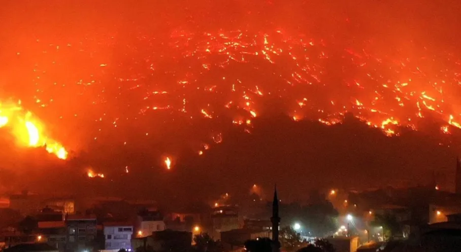 Bursa'da Orman Yangını: Sabotaj Şüphesi ve Gözaltı!