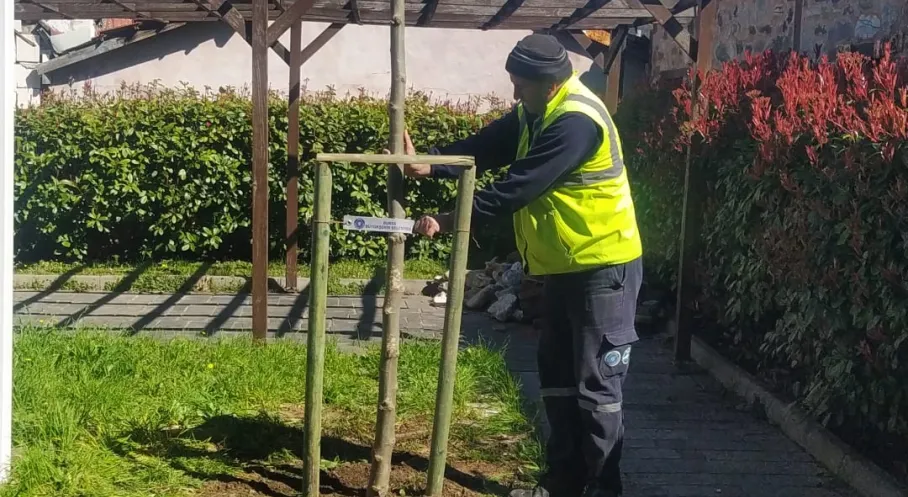 Bursa'da Tarihi Adım: Fethin 700. Yılına Özel 700 Çınar Dikimiyle Geleceğe Yeşil Miras!