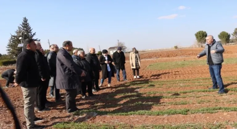 Şanlıurfa Çiftçilerine Anıza Ekim Eğitimi Verildi: Toprak İşleme Yöntemleri Karşılaştırıldı