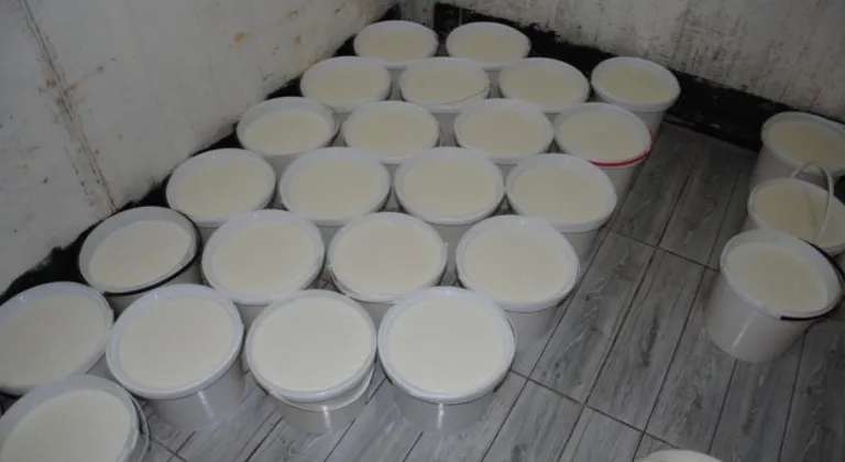 Şanlıurfa Büyükşehir Zabıtasından Sağlıksız Koşullarda Üretilen 120 Kova Yoğurda El Konuldu