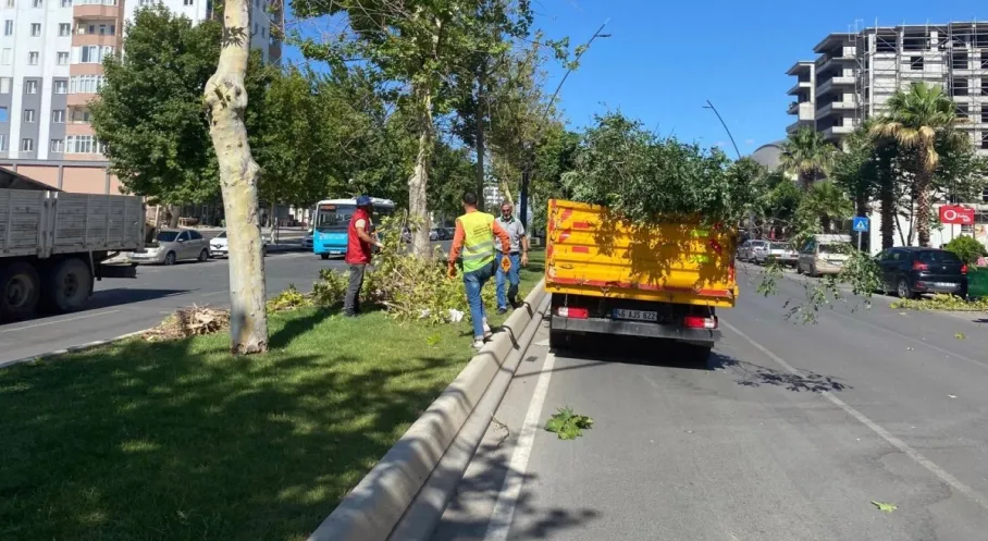 Kahramanmaraş'ta Fırtına Felaketi! Büyükşehir Belediyesi Hızla Yaraları Sarıyor
