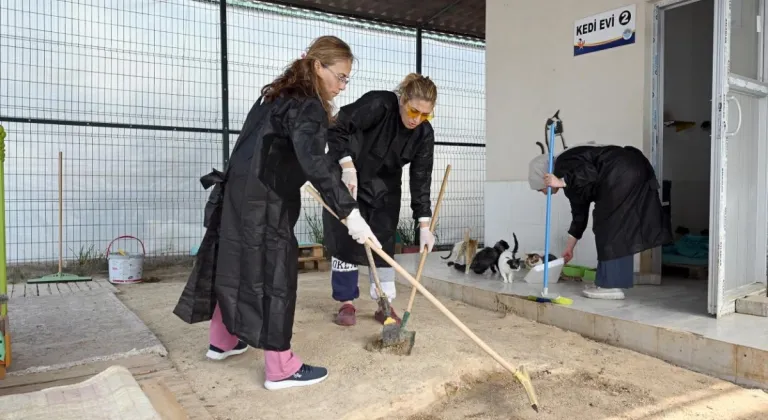 Mersin'de Patili Dostlara Destek: Gönüllüler ve Büyükşehir El Ele