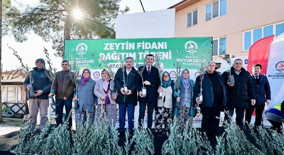Denizli'den Üreticiye Zeytin Fidanı Müjdesi! 100 Bin Fidan Dağıtılacak