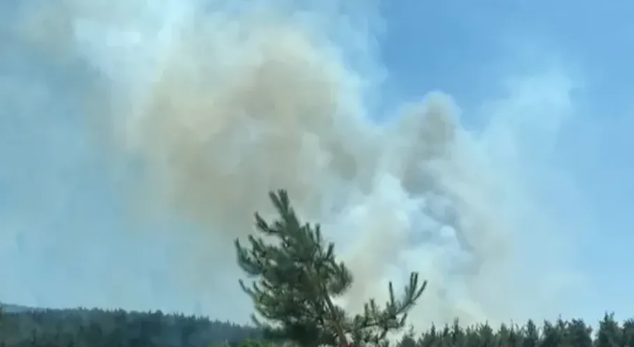Çanakkale Kepez'de Korkutan Orman Yangını! Son Durum Ne?