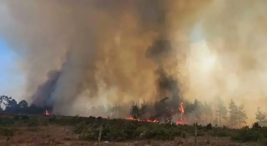 Çanakkale'de Orman Yangınları Alarmı! Binlerce Hektar Kül Oldu