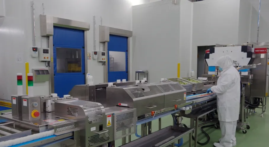 Çanakkale'ye Sushi Fabrikası Müjdesi! Önen Gıda'dan Dev Yatırım