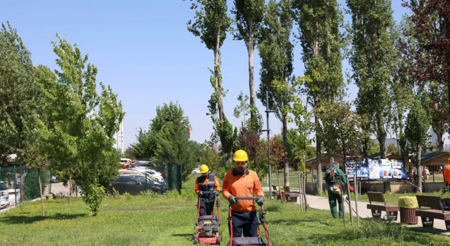 Çankaya'da Yeşil Seferberlik! Parklar Yenileniyor, Vatandaşlar Rahat Nefes Alıyor