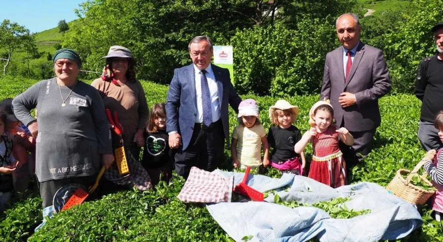 ÇAYKUR'dan Miniklere Hasat Şöleni: Geleceğin Çaycıları Makas Salladı!