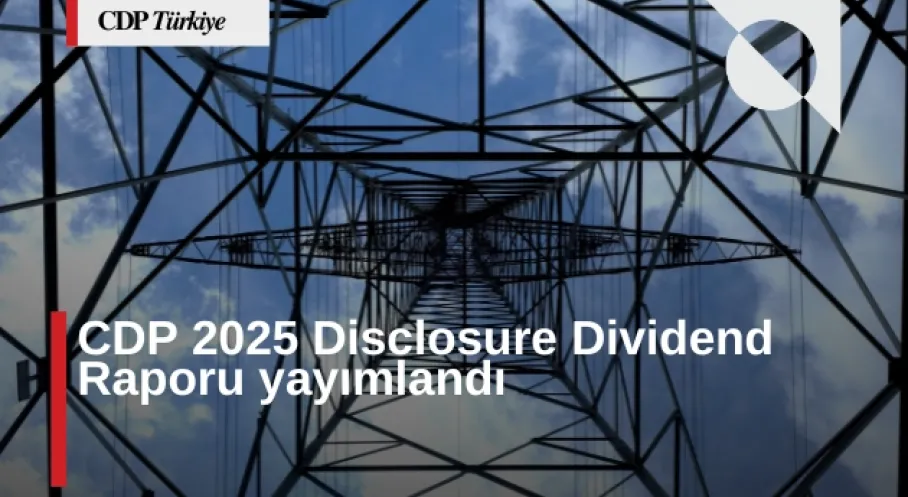 Çevresel Riskler Alarm Veriyor! 2050'de Küresel Ekonomi 38 Trilyon Dolar Kaybedebilir