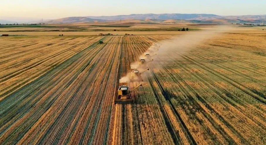 ÇKS Başvuruları Başlıyor! Çiftçiler Dikkat: 2026 Üretim Yılı İçin Son Tarih Ne Zaman?