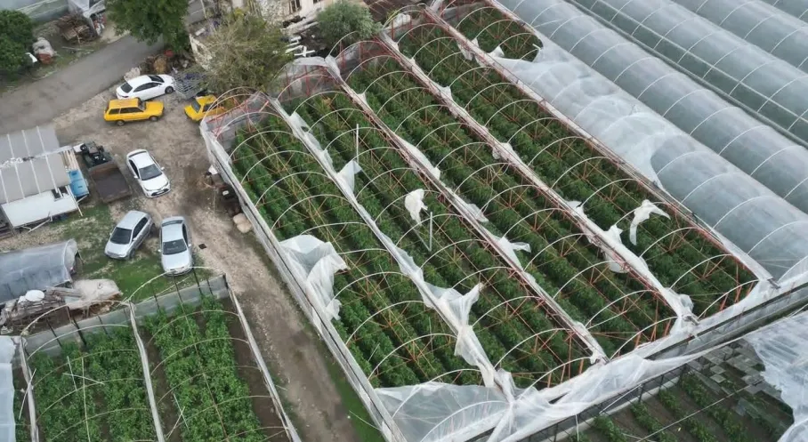 Demre'de Hortum Kabusu! Seracılar Enkaz Altında, Devlet Yardıma Koşuyor