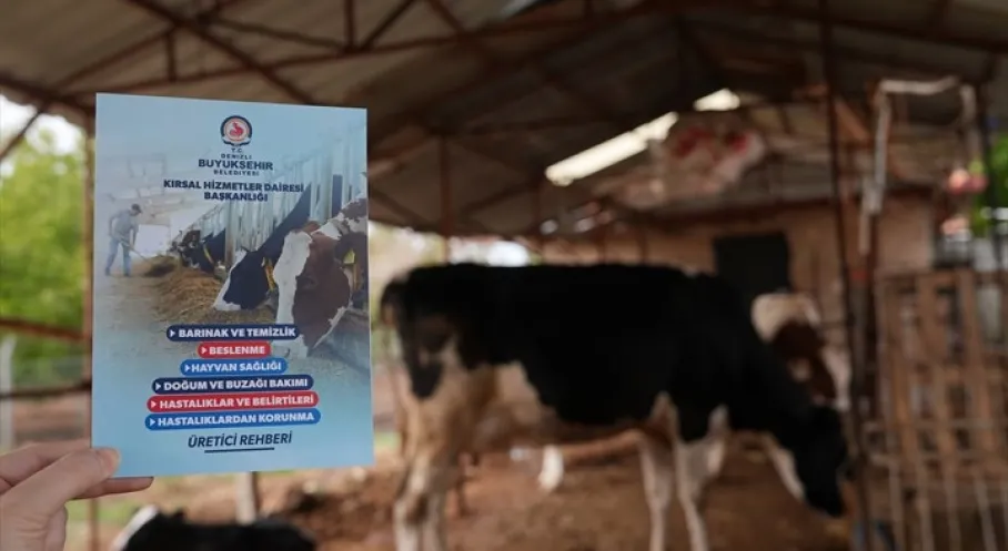 Denizli'de Üreticilere Büyükşehir'den Veteriner Desteği: Verimlilik Arttı!