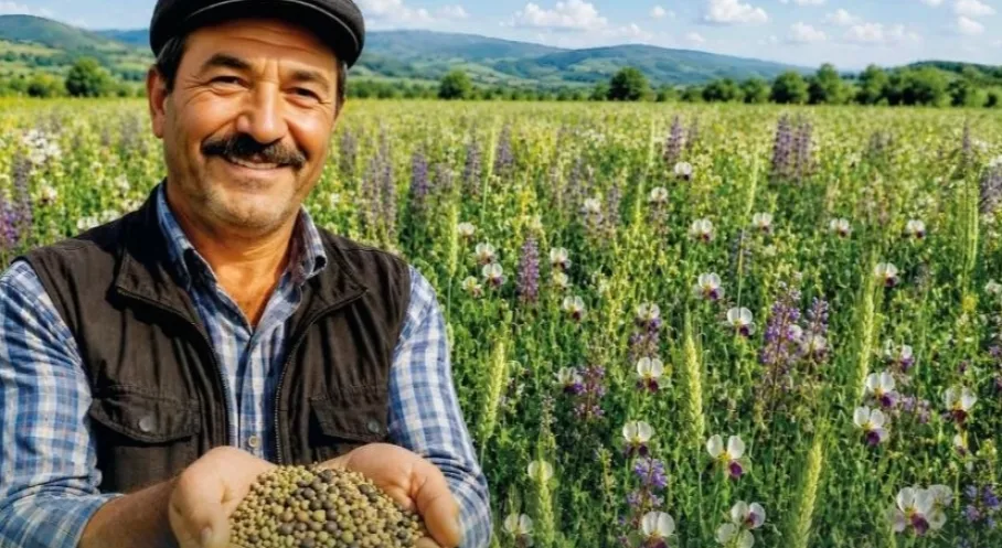 Denizli'den Çiftçilere Büyük Destek! Yem Maliyetlerine Karşı '5'li Karışım Tohum Desteği' Başladı