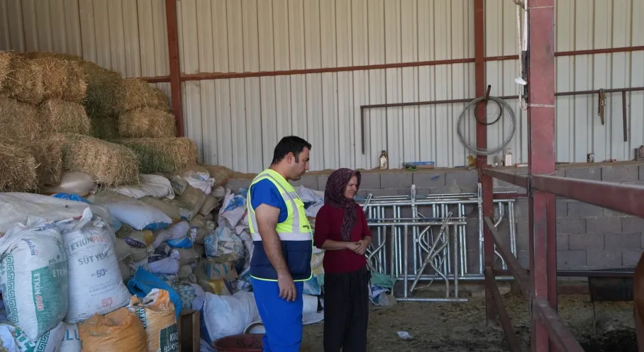 Denizli'den Üreticiye Müjde! Büyükbaş Hayvanlara Ücretsiz Veteriner Desteği