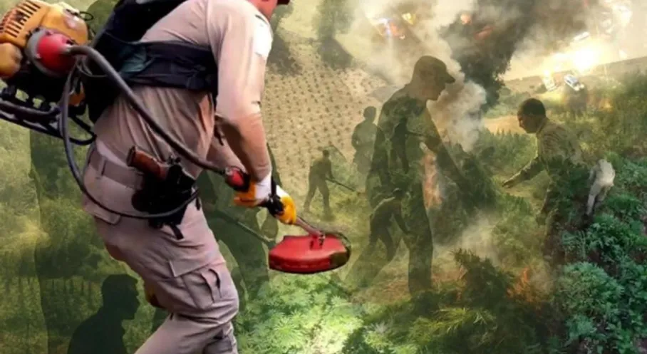 Diyarbakır'da Rekor Uyuşturucu Baskını: 70 Ton Esrar Ele Geçirildi!