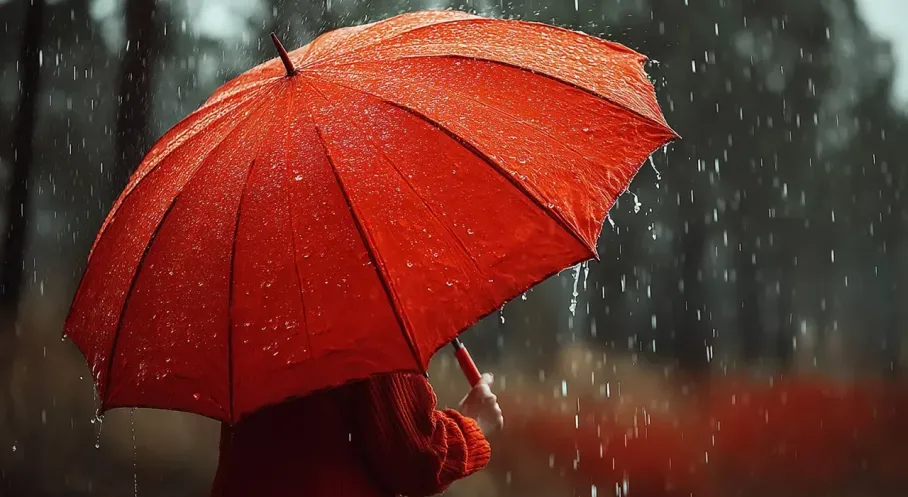 Doğu Karadeniz Alarm Veriyor: Kuvvetli Yağış ve Sel Tehlikesi!