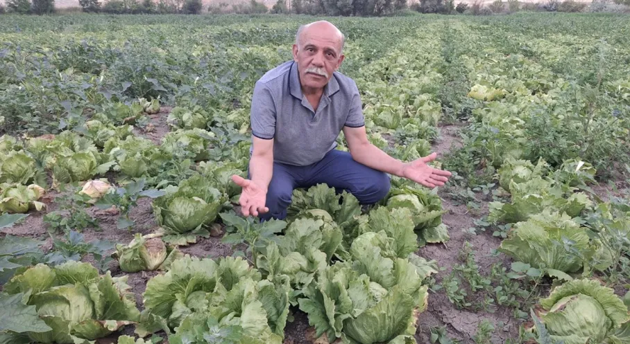 DP'li Atak'tan Çiftçi Feryadı: Emek Tarlada Kalıyor!