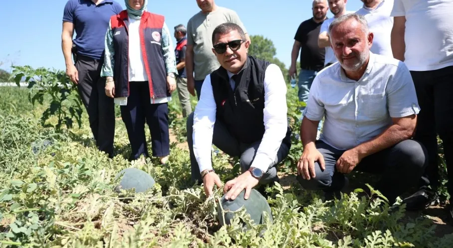 Düzce Valisi'nden Karpuz Üreticisine Ziyaret ve Tebrik!